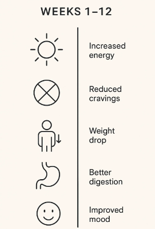 Timeline showing gradual weight loss with tea